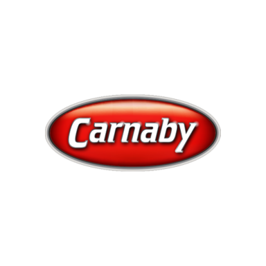 CARNABY LOGO