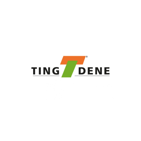 Ting Dene Gateway Chassis Trusted Partner 